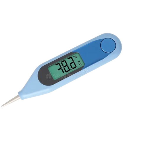 Hospital‑grade Thermometer